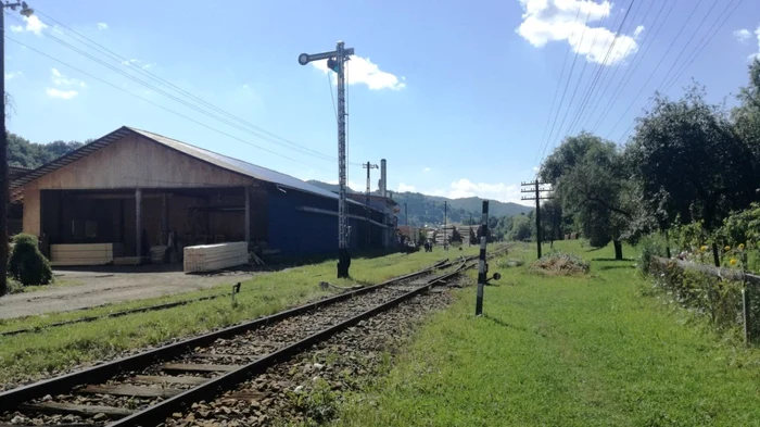 Anchetatorii au luat la puricat cenuşa din centrala termică FOTO Bianca Sara