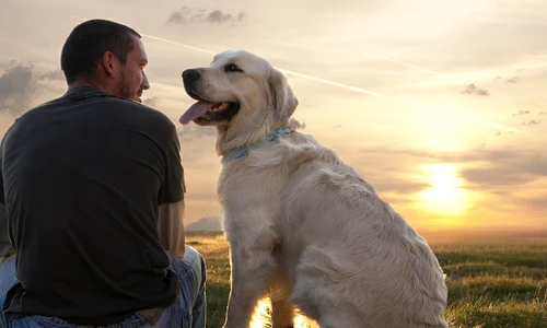 man dogs best friend jpeg