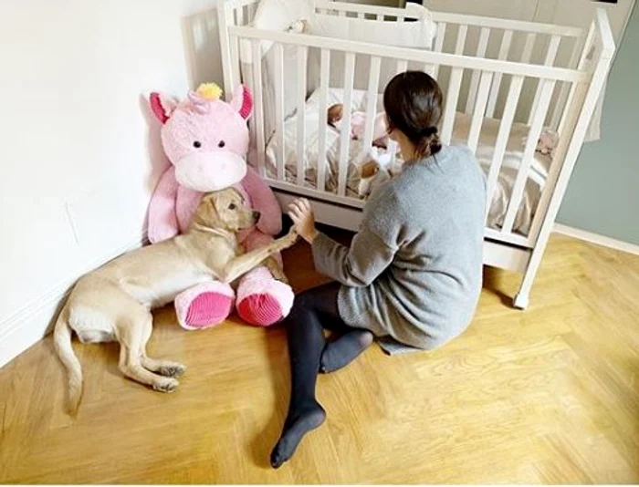 
    Catrinel Menghia, prima ședință foto alături de fetița eiFoto Instagram  