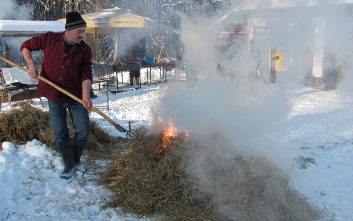 Ritualul tăierii porcului în Bucovina