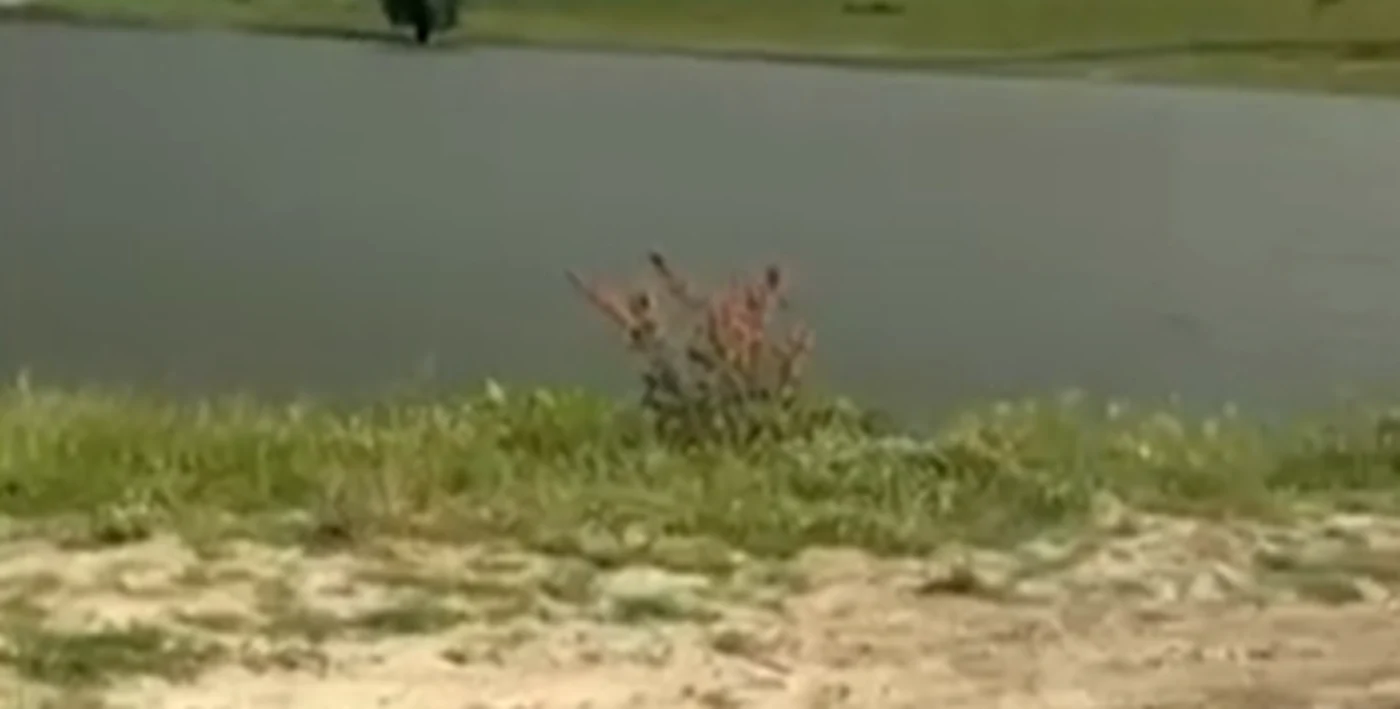 Tânărul s-a înecat într-un iaz din Dorohoi / foto: captură PRO TV