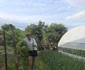 Vărul Săndel, în curtea casei sale 