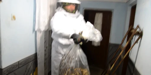 5b9b745fdf52022f756dceb8 jpg