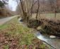 Comuna Bucureșci din Hunedoara   Foto Daniel Guță  ADEVĂRUL (22) jpg