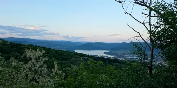 Vâlcea