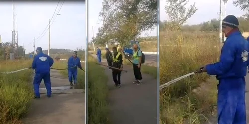 Meşterii „Dorel” de la Spaţii Verzi FOTO Captură video