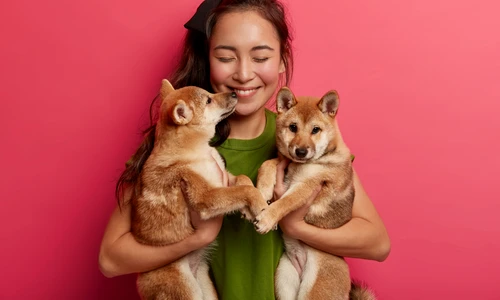 caine   shutterstock 1568909161 jpg