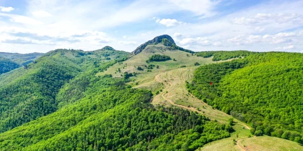 cetate daci craiva