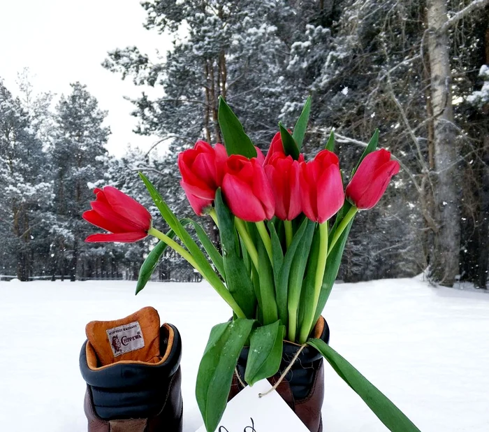 
    Meteorologii anunță primăvară în miez de iarnă  