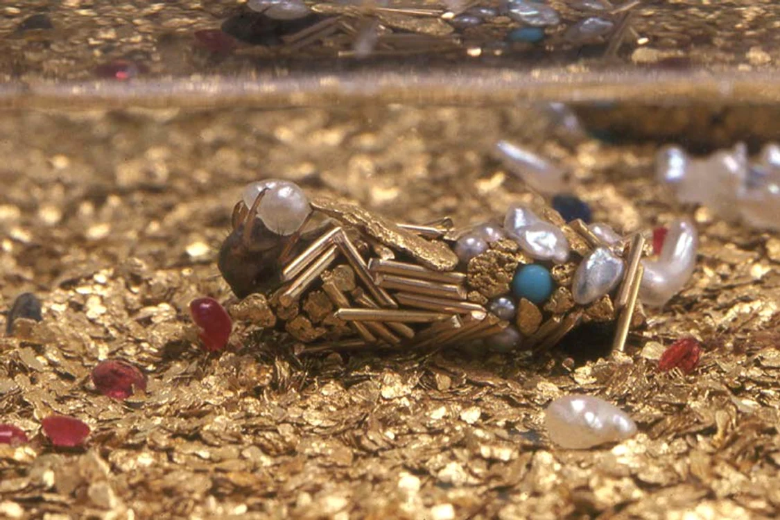 
    Musca-bijuterie  