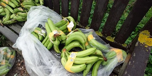 Screenshot 2025 12 09 091124 jpg