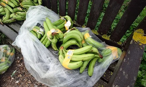 Screenshot 2025 12 09 091124 jpg