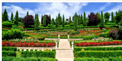 I giardini di zoe jpg