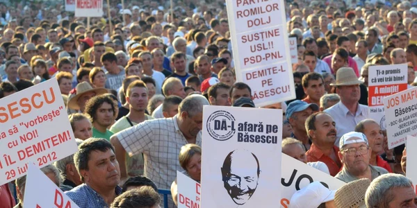 miting usl