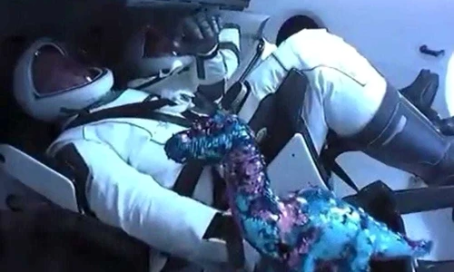 3 5ed2d0fef34d0504c43147d3 1 jpg jpeg