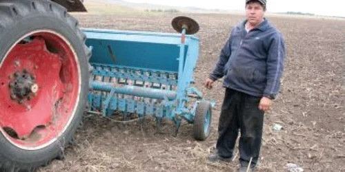 Neamţ: REGIUNEA PE SCURT/ Grâul nemţenilor, compromis de secetă