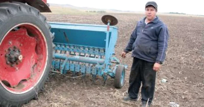 Neamţ: REGIUNEA PE SCURT/ Grâul nemţenilor, compromis de secetă