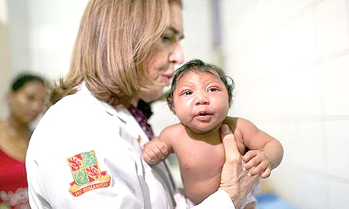 zika 89151515120 jpeg
