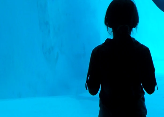 
    Fetița violată avea doar cinci ani la data abuzurilorfoto: Hepta  