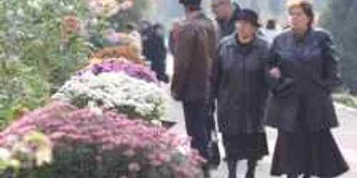 Expoziţia de flori de la Grădina Botanică se închide mâine seară