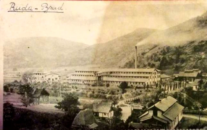 metaliferi