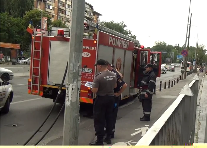 
		    
		    
		    
		    
		    Politia Locală s-a prezentat imediat la fața locului 										