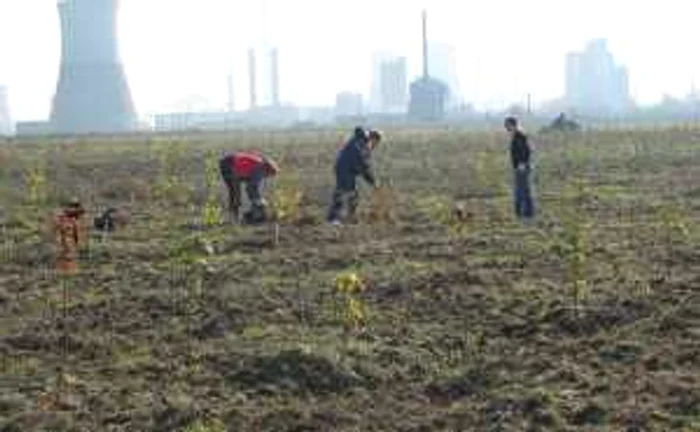 voluntari3