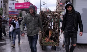 Reacțiile au fost diverse, de la uimire, la entuziasm și indignare jpeg