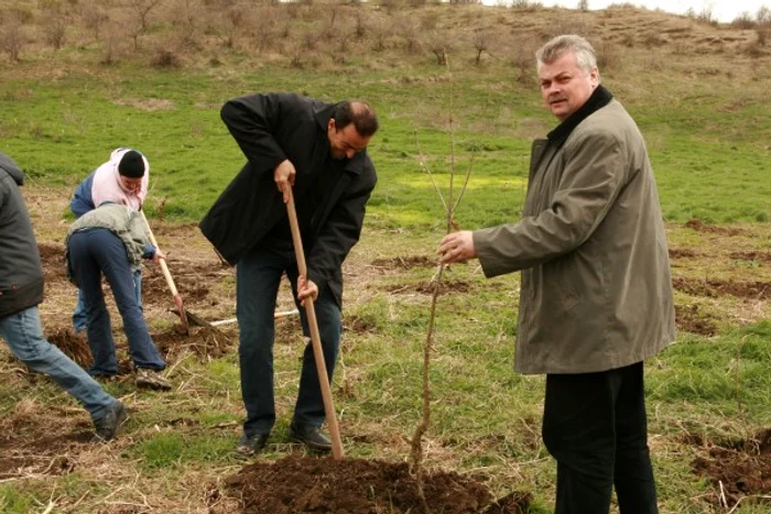 Fostul primar Sorin Apostu a participat în 2011 la acţiunea de împădurire