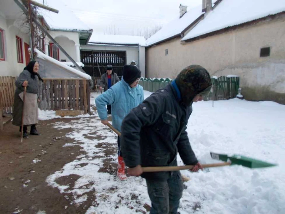 Copiii ajută la treburile gospodăreşti