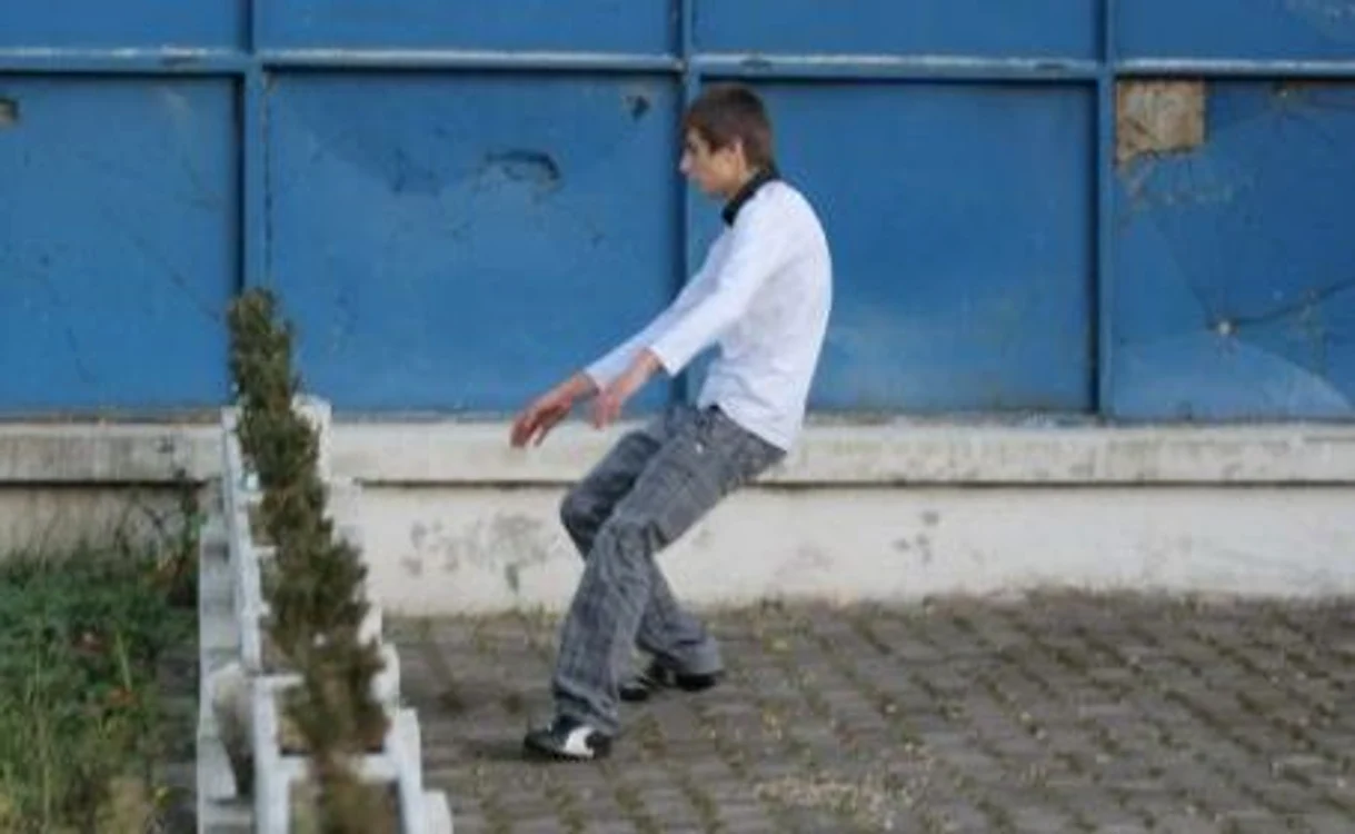 Bal cu etnobotanice la Colegiul «Nicolae Titulescu» din Braşov.
