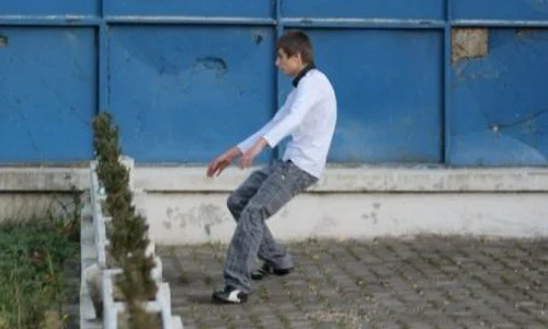 Bal cu etnobotanice la Colegiul «Nicolae Titulescu» din Braşov  jpeg