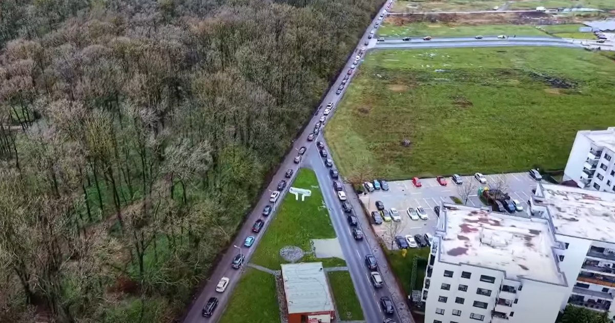 Dosar penal pentru vandalism în Sectorul 1: Greenfield acuză distrugerea sistemului de acces forestier.