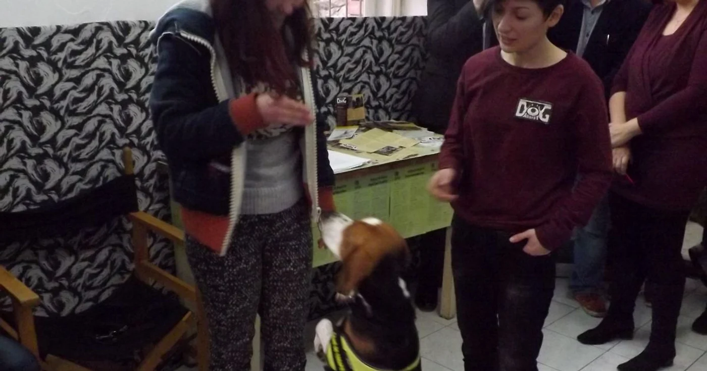 O studentă învaţă să "danseze" cu beagle-ul Bailey. FOTO: Remus Florescu