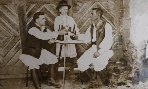 Antraxul pe meleaguri muscelene gif