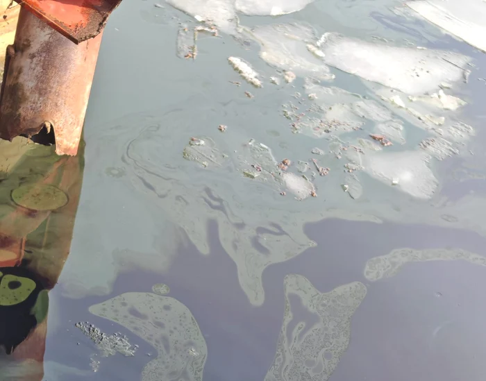 Poluare pe Dunăre FOTO: Apele Române