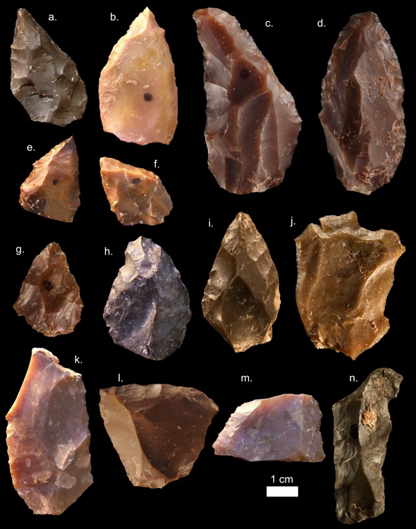 Figure 9 png png