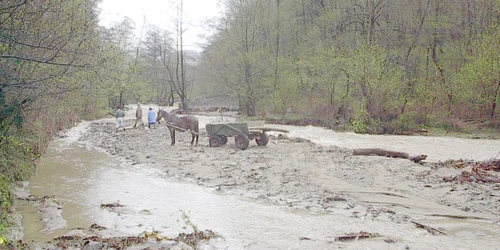 Râul Arieş a provocat pagube în Apuseni. Foto: Arhivă