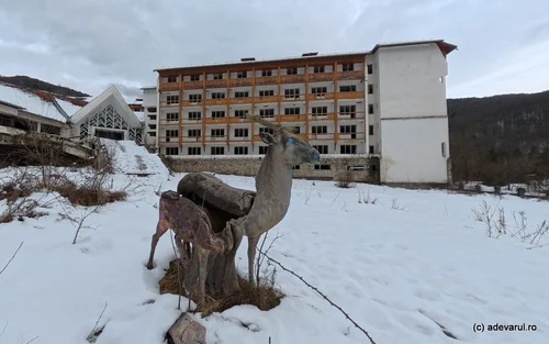 Poiana Mărului din Caraș Severin  Foto Daniel Guță ADEVĂRUL (23) jpg