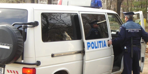 Polițiștii brăileni au intervenit. FOTO: ARHIVĂ NICOLETA BUTNARU