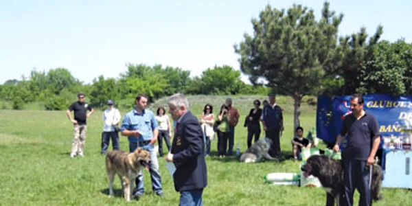 Câinii de rasă vor defila la Sărbătoarea Castanelor