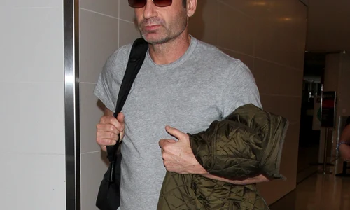 David Duchovny arrives on a flight to Los Angeles International Airport (LAX) jpeg