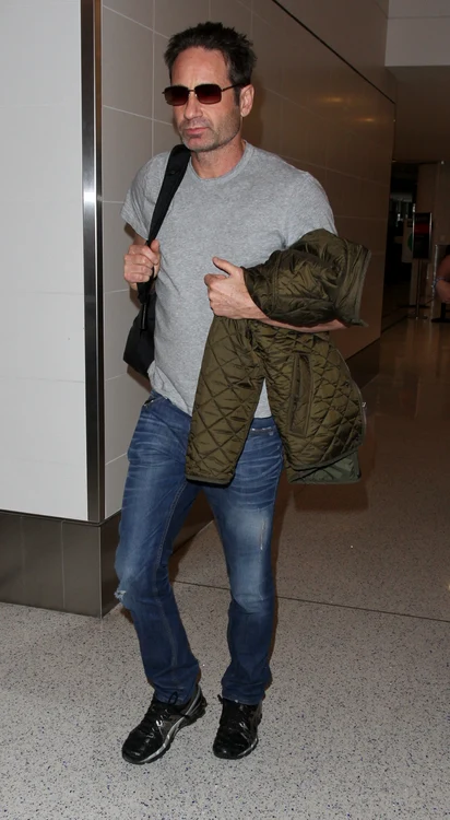David Duchovny arrives on a flight to Los Angeles International Airport (LAX) jpeg