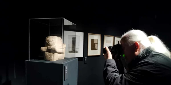 Expo Brâncuși la Timișoara FOTO Ștefan Both
