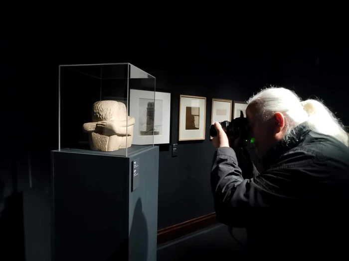 Expo Brâncuși la Timișoara FOTO Ștefan Both