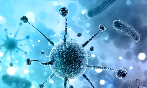 bacterii care produc infectii nosocomiale jpg
