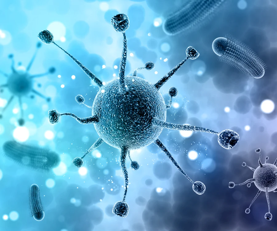 Mai multe bacterii pot provoca infecții FOTO Freepik.com