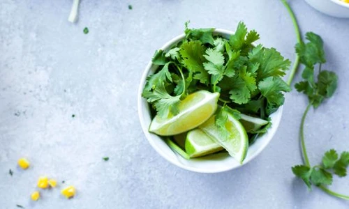 1 dieta cu patrunjel jpg jpeg