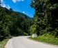 Valea Mare 8