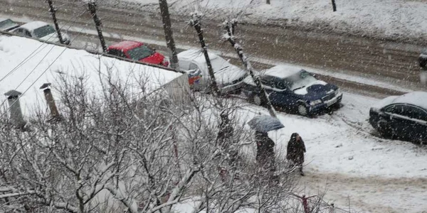Ninsoare ca în poveşti de două zile, la Suceava